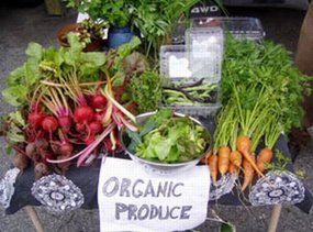 Rotator_green-basics-organic-produce-stand