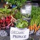 Thumb_green-basics-organic-produce-stand
